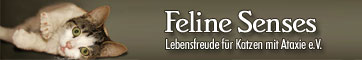 Feline Senses  Lebensfreude fr Katzen mit Ataxie