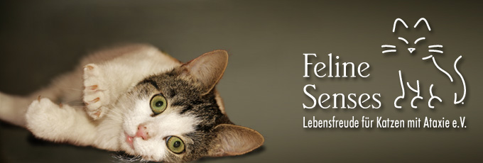 http://www.ataxiekatze.de/